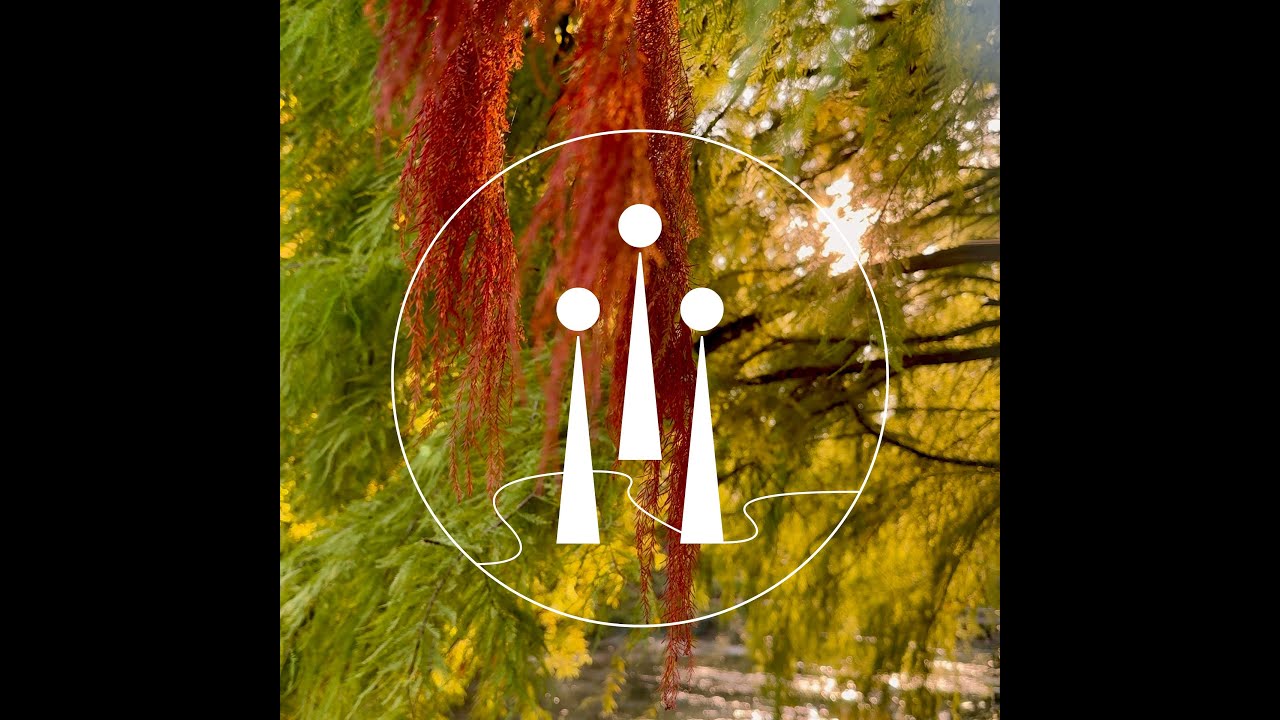 youtube placeholder image